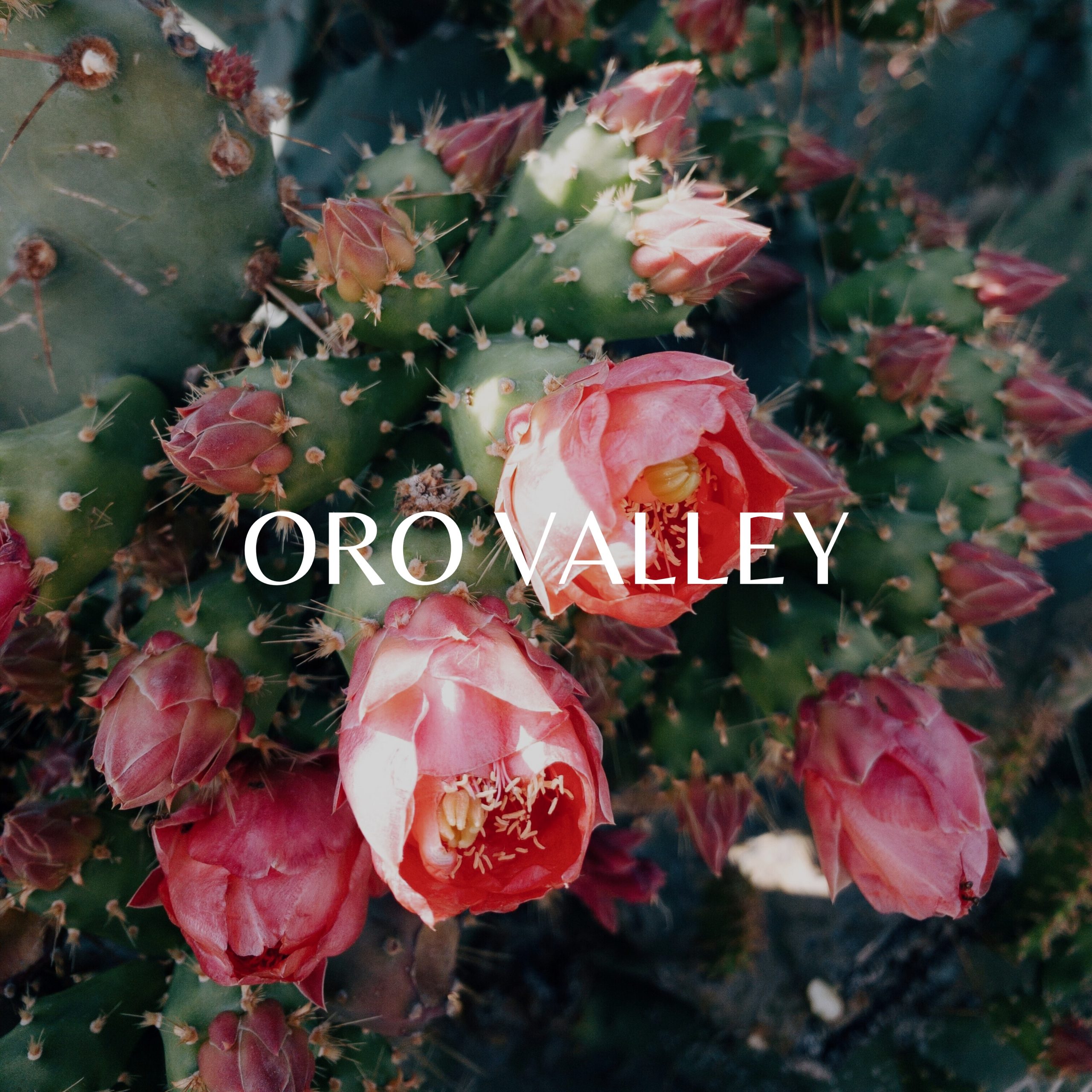 Oro Valley 1