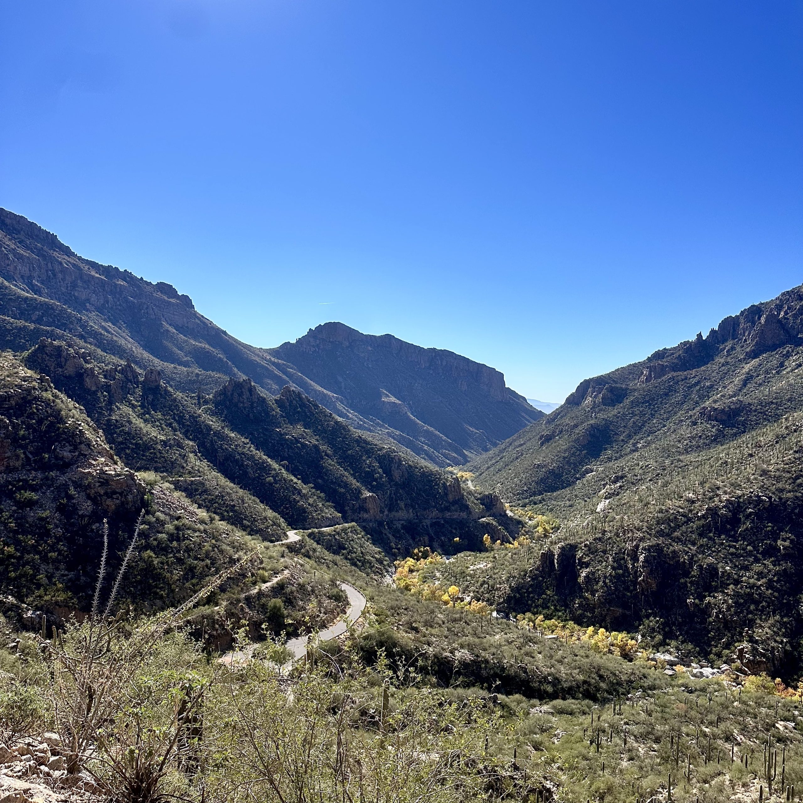 Sabino Canyon in the winter in Tucson, where many people come to retire